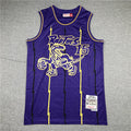 Men's Toronto Raptors Vince Carter 1998-99 Purple Hardwood Classics Swingman Jerseys