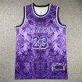 Men's Los Angeles Lakers LeBron James #23 Purple Select Series Swingman Jerseys