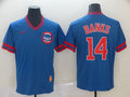 Men's Chicago Cubs Ernie Banks #14 Blue Replica Player Jerseys