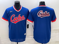 Men's Chicago Cubs Royal Road Cooperstown Collection Team Jerseys