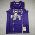 Men's Toronto Raptors Tracy McGrady 1998-99 Purple Hardwood Classics Swingman Jerseys