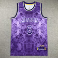 Men's Los Angeles Lakers LeBron James #6 Purple Select Series Swingman Jerseys