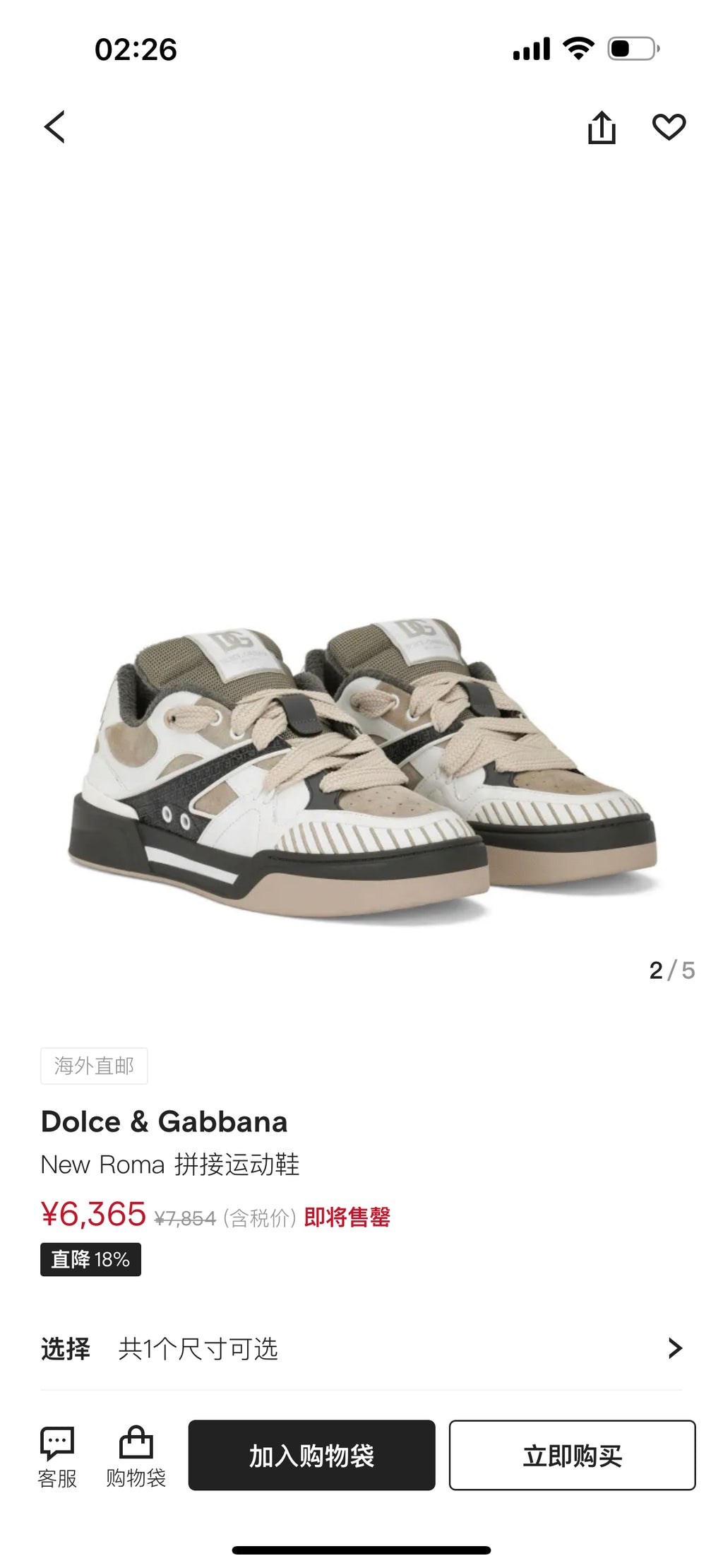 Dolce & Gabbana DG Cushion Calfskin Skate Sneakers with TPU Sole
