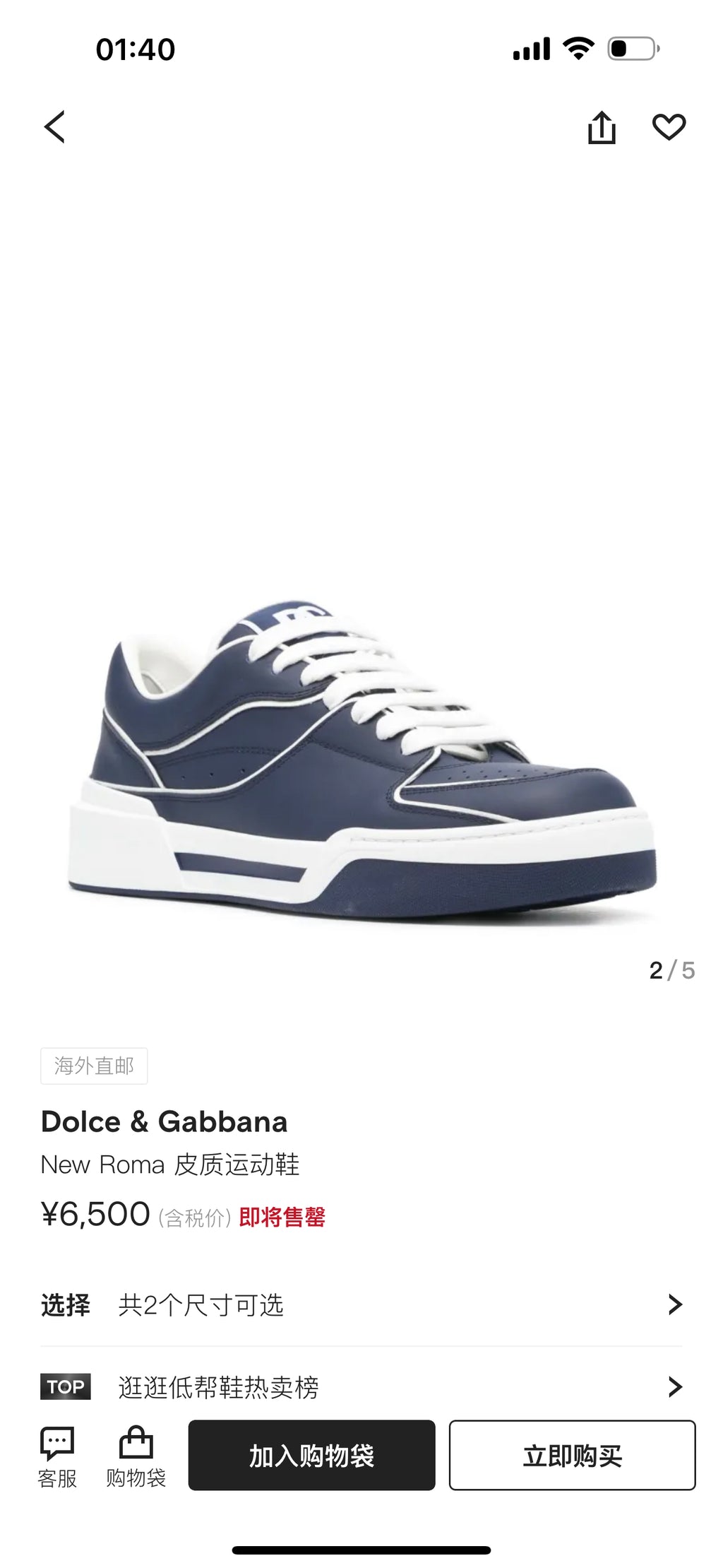 Dolce & Gabbana DG Cushion Calfskin Skate Sneakers with TPU Sole